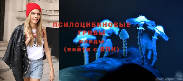 таблы Алексин