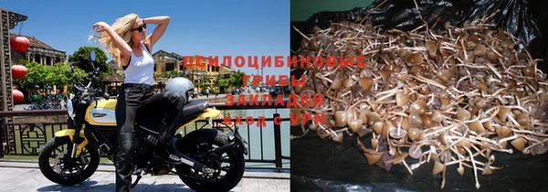 таблы Алексин