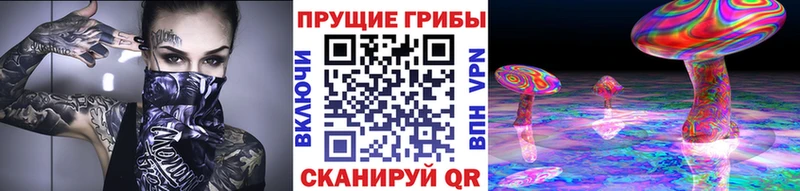 blacksprut ссылка  продажа наркотиков  Струнино  Галлюциногенные грибы прущие грибы 